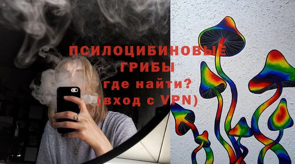 молекула духа Майский