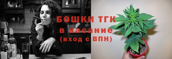 бошки Медногорск
