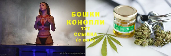 молекула духа Майский