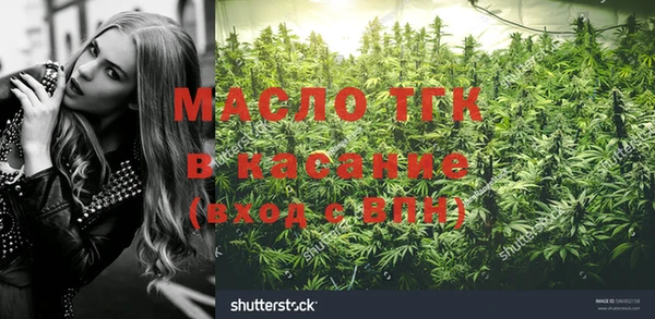 сатива Магадан